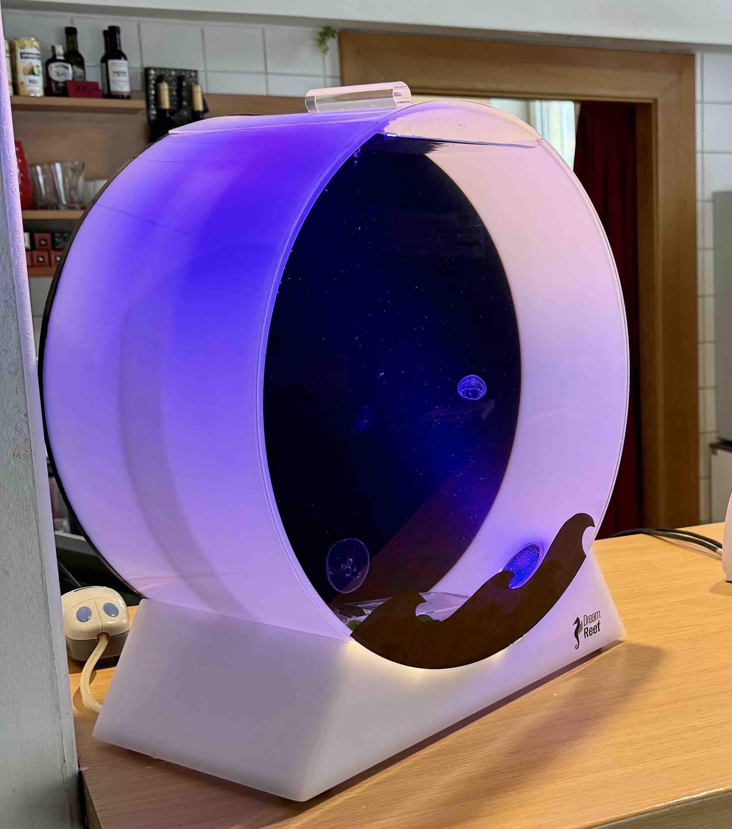 Výprodej: Desktop Jellyfish Tank – použité zaběhlé akvárium se 4 živými medúzami